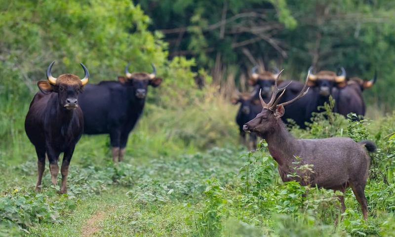https://files.locallife.asia/images/800/1773718360021-533036034182186400 (1).jpg